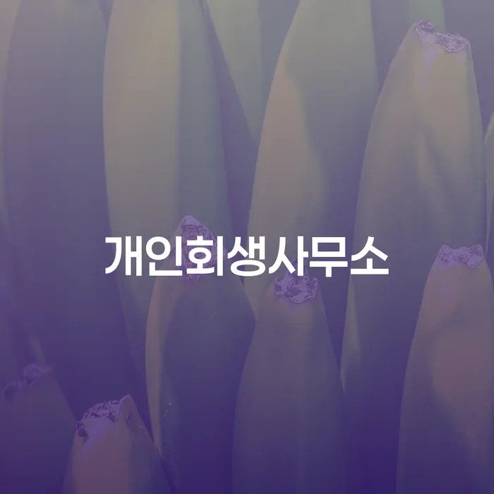 채권채무조회서 카드빚 연체 진행방안