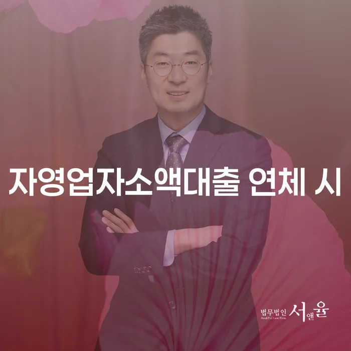 10년대출 연체 시 개인회생 문제해결방법 무료법률상담