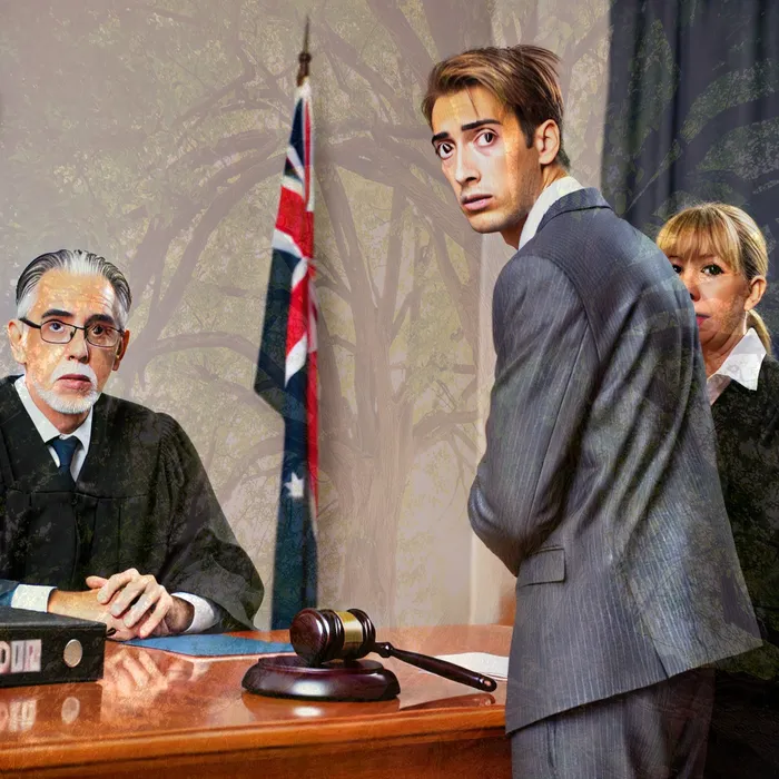 개인회생개시결정