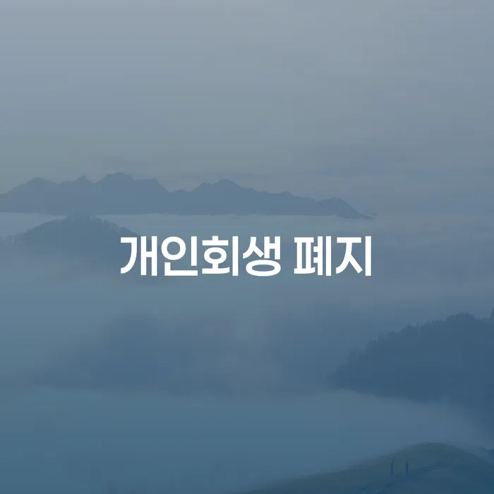 포항시 회생 개인회생,개인파산으로 관련정보
