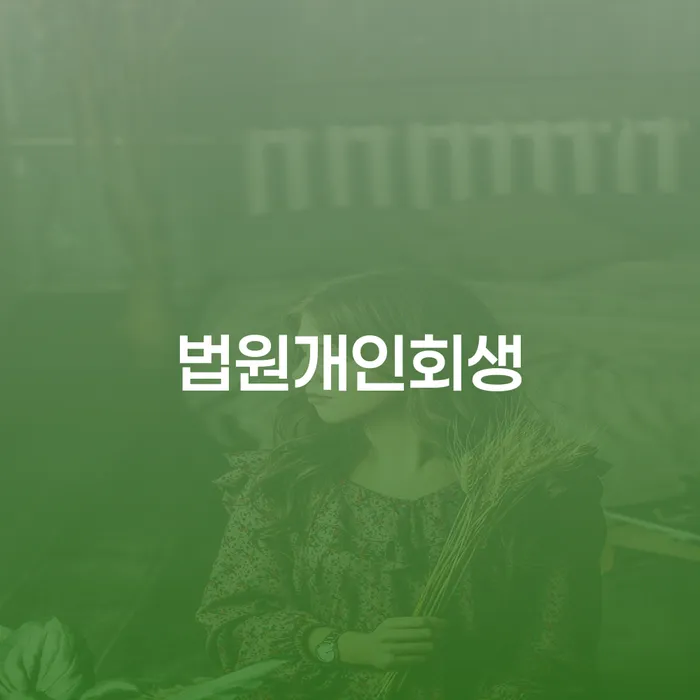 나주시 회생비용 저렴하고 분납이 가능한 대출 받은 돈채무조정 살펴보고 있다면