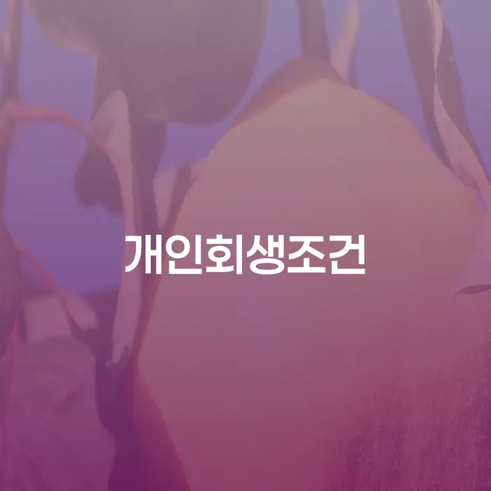사천시 파산신청서류 추심 대응법 자세하게 알아보자
