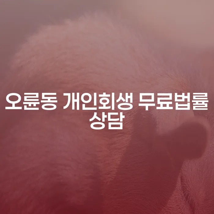 오륜동 개인회생 무료법률상담