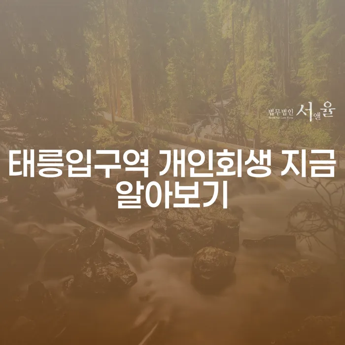 태릉입구역 개인회생 지금알아보기
