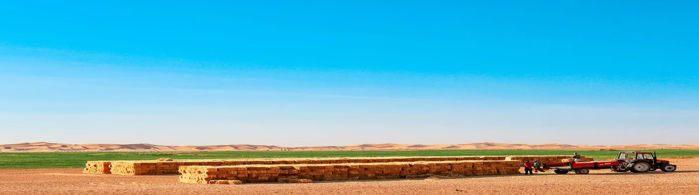 법무법인 서앤율